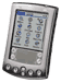 Palm
